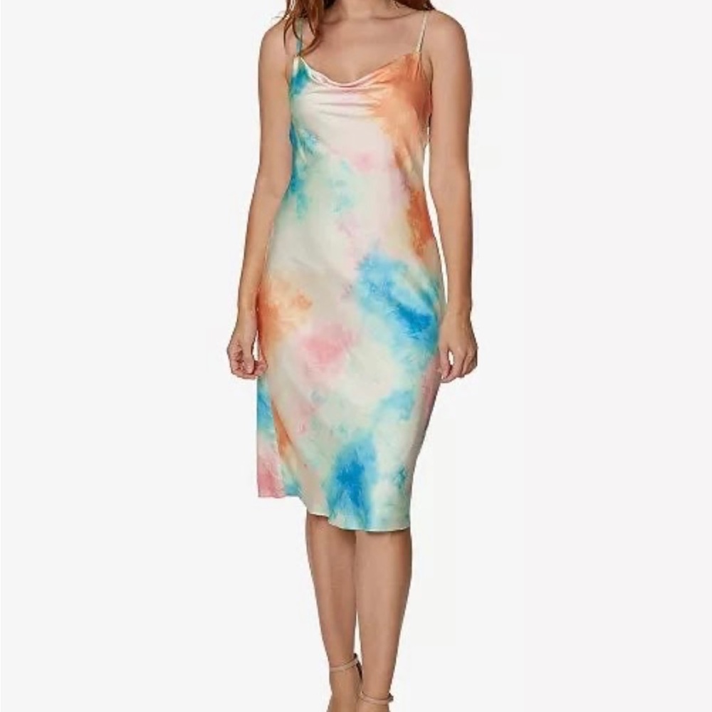 SAGE Dress 2